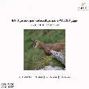 22040137 (4).webp