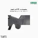 2.webp
